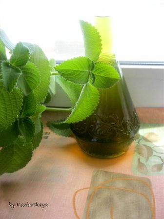 Мятный сироп