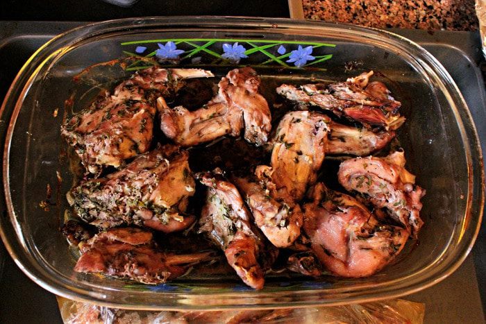 Кролик "Весенний" 