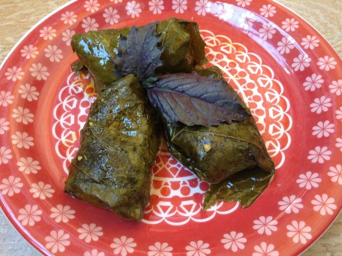 Овощная долма